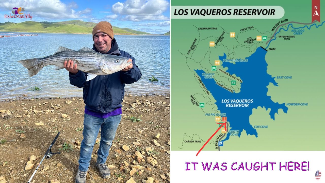 У команды Vaqueros Spring Stripers начался сезон 2023 года.