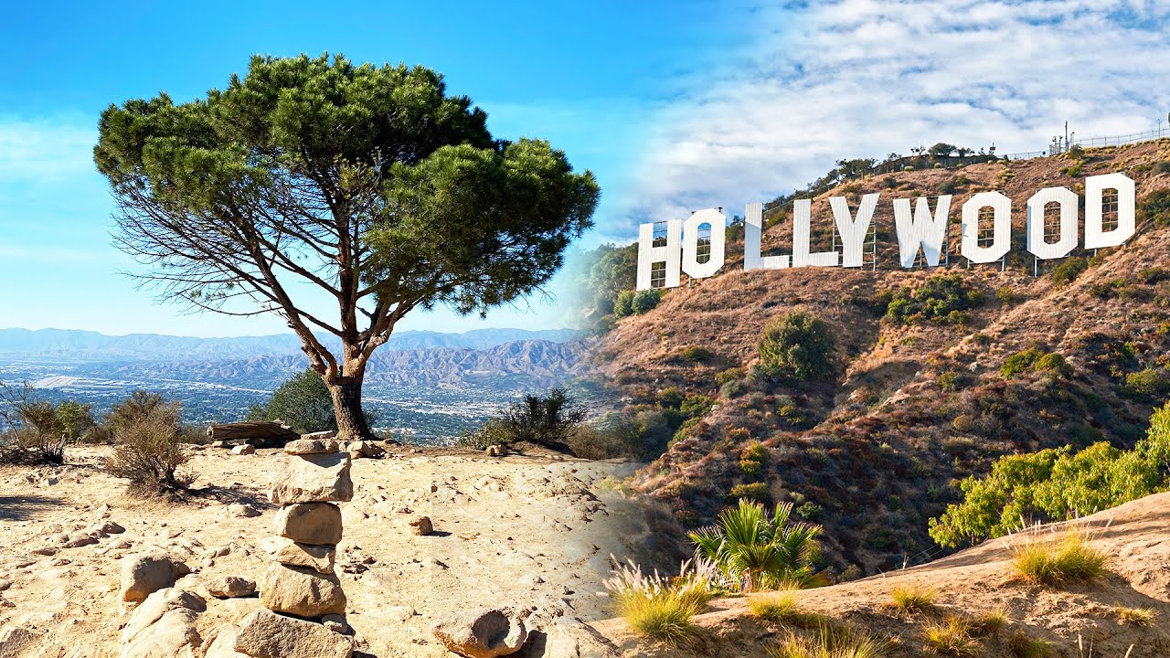 The SECRET, More Fun Way to the Hollywood Sign : The Wisdom Tree Trail!