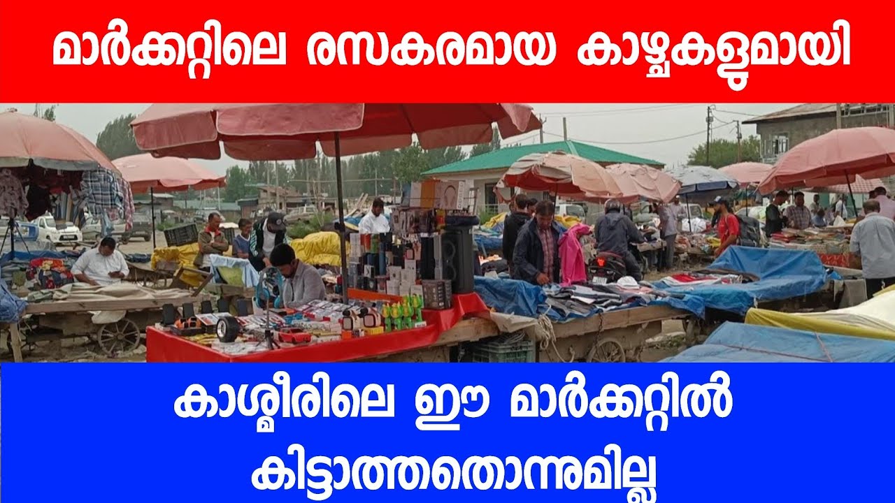 കാശ്മീരിലെ ഈ മാർക്കറ്റിൽ കിട്ടാത്തതൊന്നുമില്ല /മാർക്കറ്റിലെ രസകരമായ കാഴ്ചകളുമായി