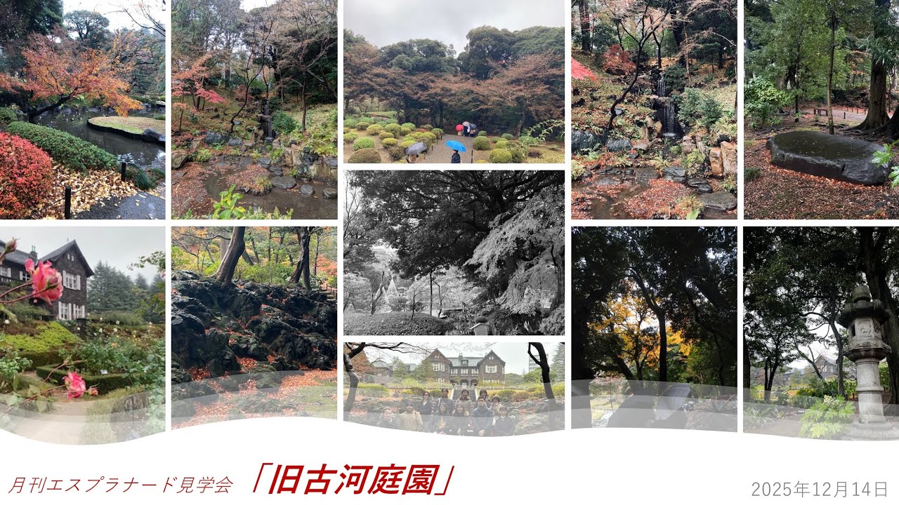 旧古河庭園見学会
