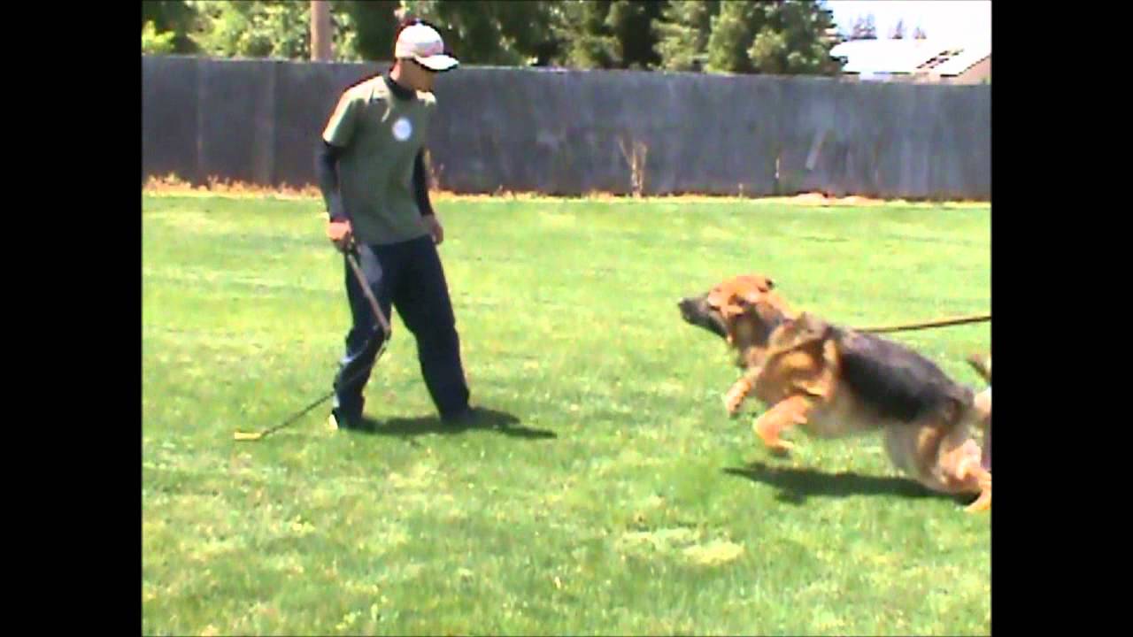 V Quisto von Unterhain