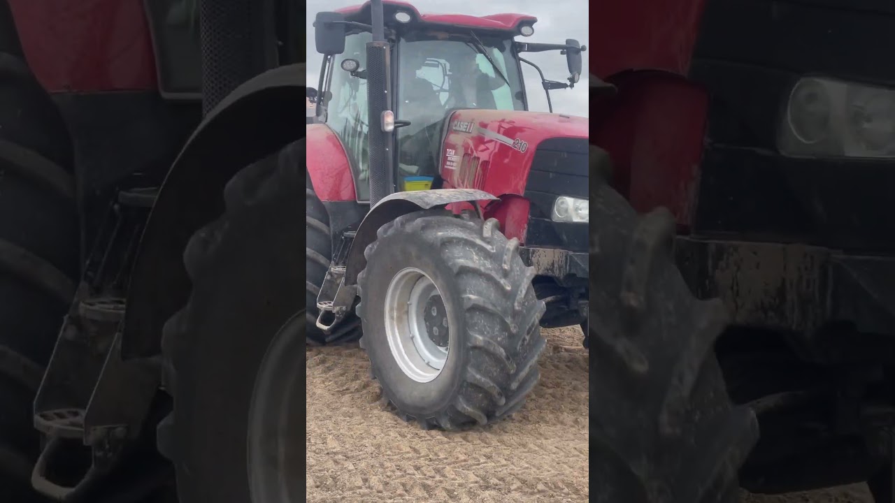 Case IH Puma 210 + Horsch Pronto DC4+Steinbauer #lackofpowerbuysteinbauer #tuning #caseih