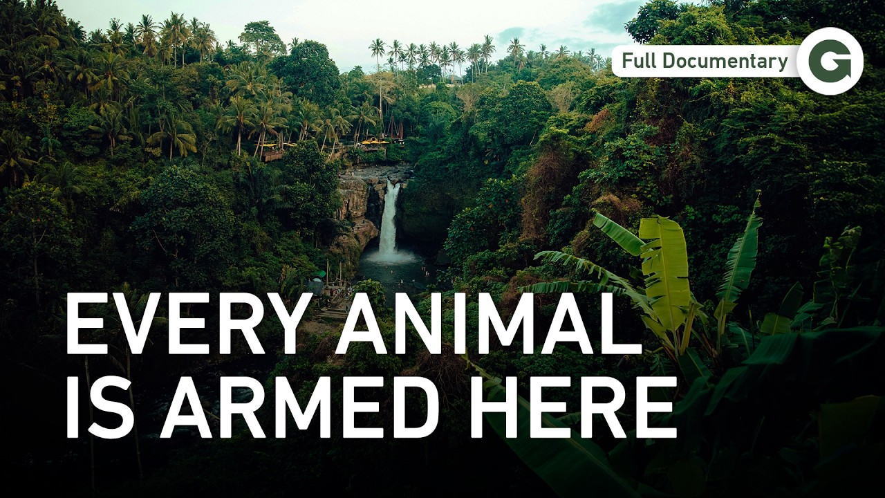 The Jungle Battlefield: Survival in a Killing Ground | Full Documentary