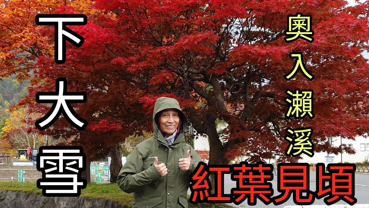 奧入瀨溪賞楓的冰雪奇緣：奧入瀨溪紅葉見頃又遇下大雪的難得體驗