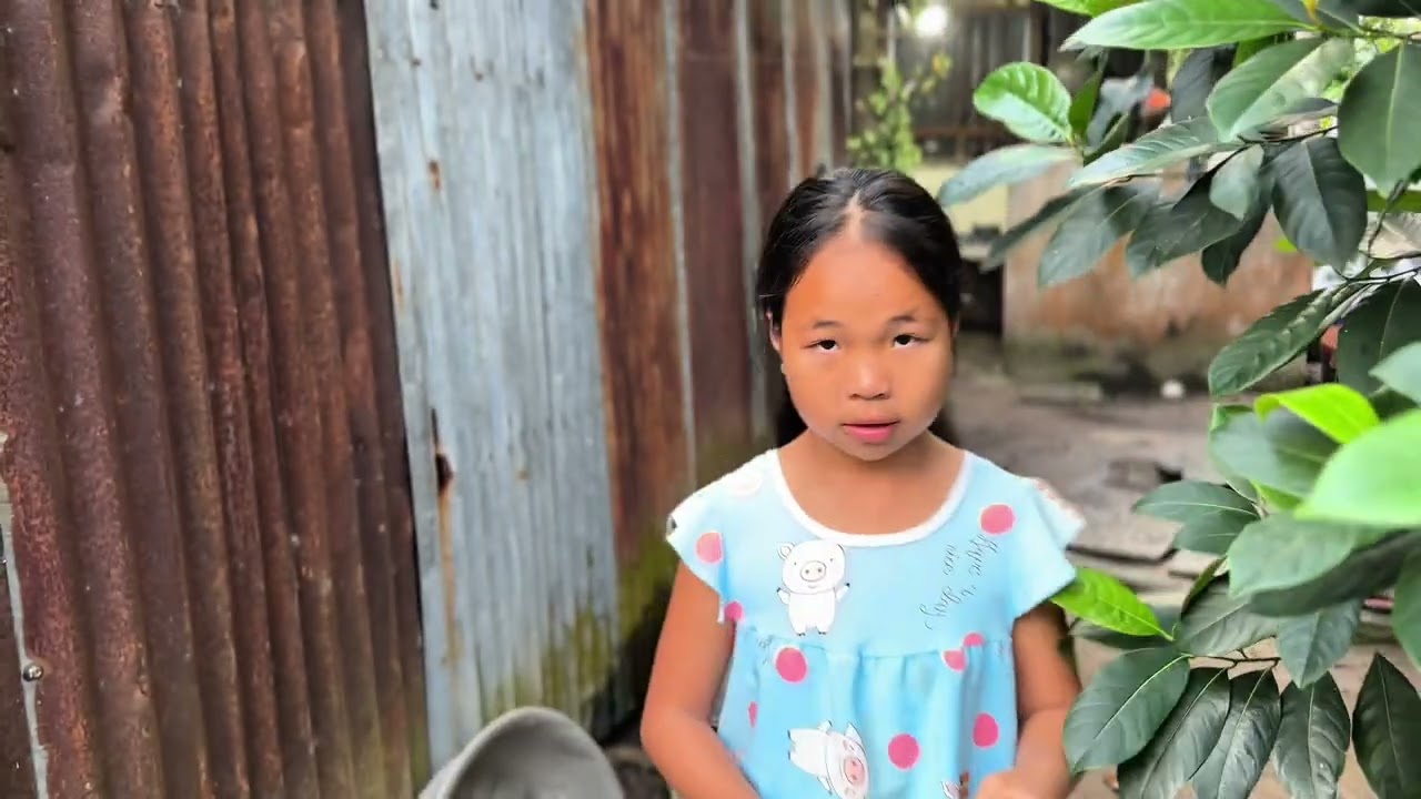 Nấu bánh Tét Tết - gốc 