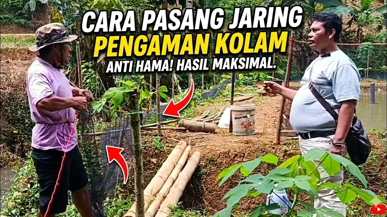 Cara Pasang Jaring Pengaman Kolam Ikan: Murah & Tahan Lama