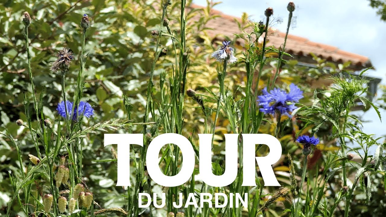 TOUR COMPLET du jardin en Juin