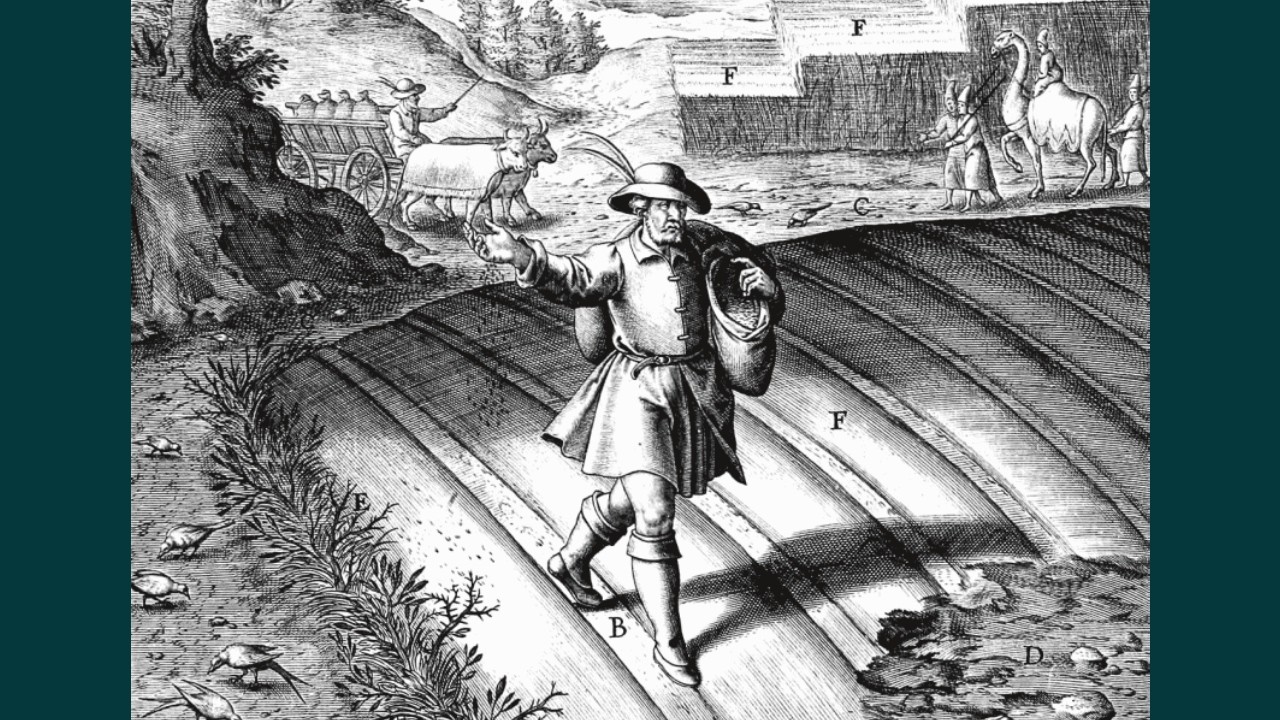 Nuestra alma; la buena tierra del Sembrador