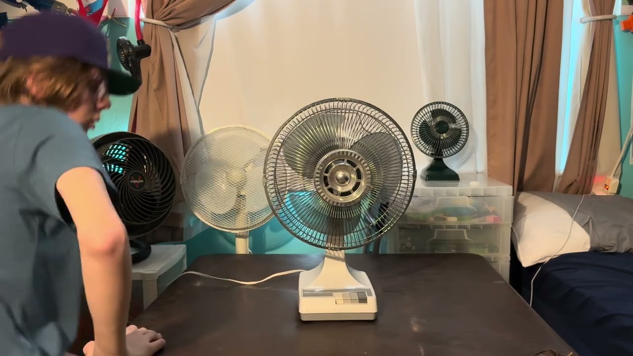 Windmere DF-12 Desk Fan (another one!)