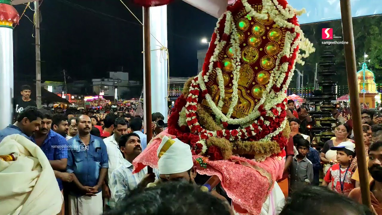 രേവതി മഹോത്സവം 2020 | വലിയകുളങ്ങര ദേവീക്ഷേത്രം | മഹാദേവികാട് കൂട്ട എഴുന്നള്ളത്ത് | ദേശ താലപ്പൊലി