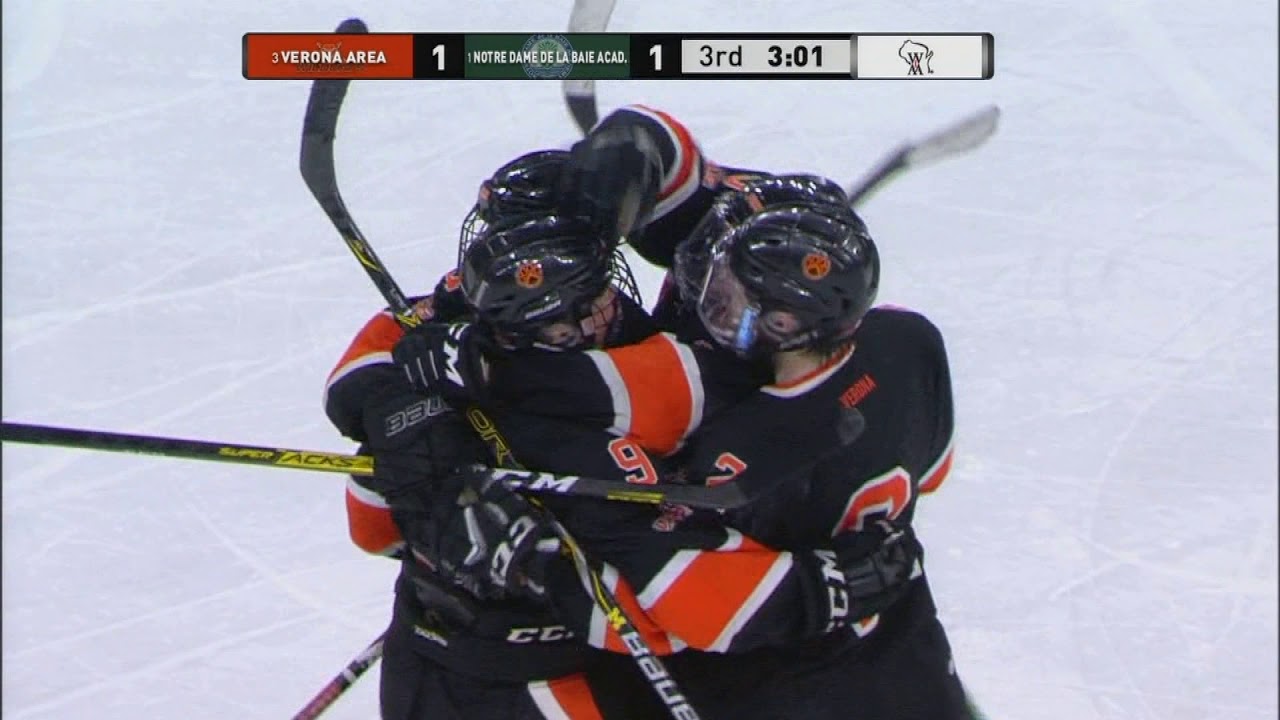 Alec Ausmus Play By Play 2020 WIAA State Hockey D1 Boys Title Game
