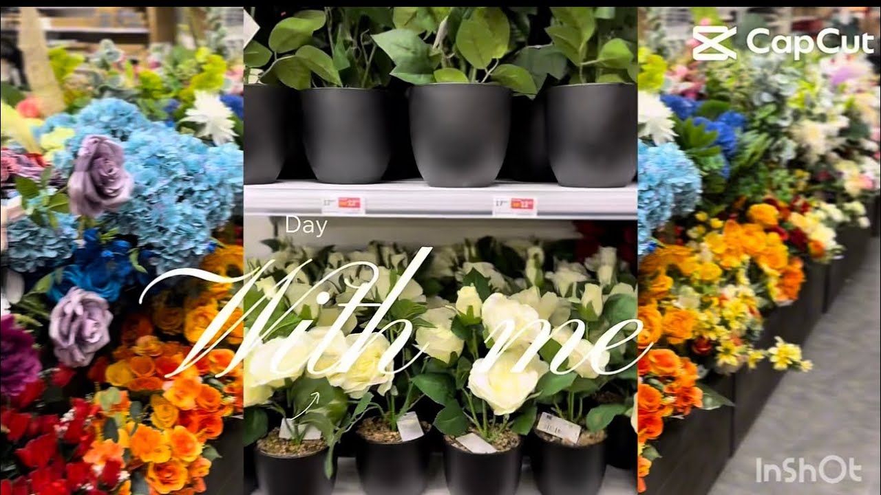 وش لقيت في GIFI؟ 🛒 🛍️ سهرة بيتية تغيّر المود ✨