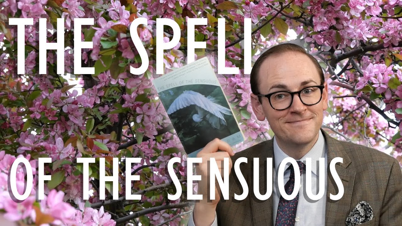 This Book Changed How I Write
