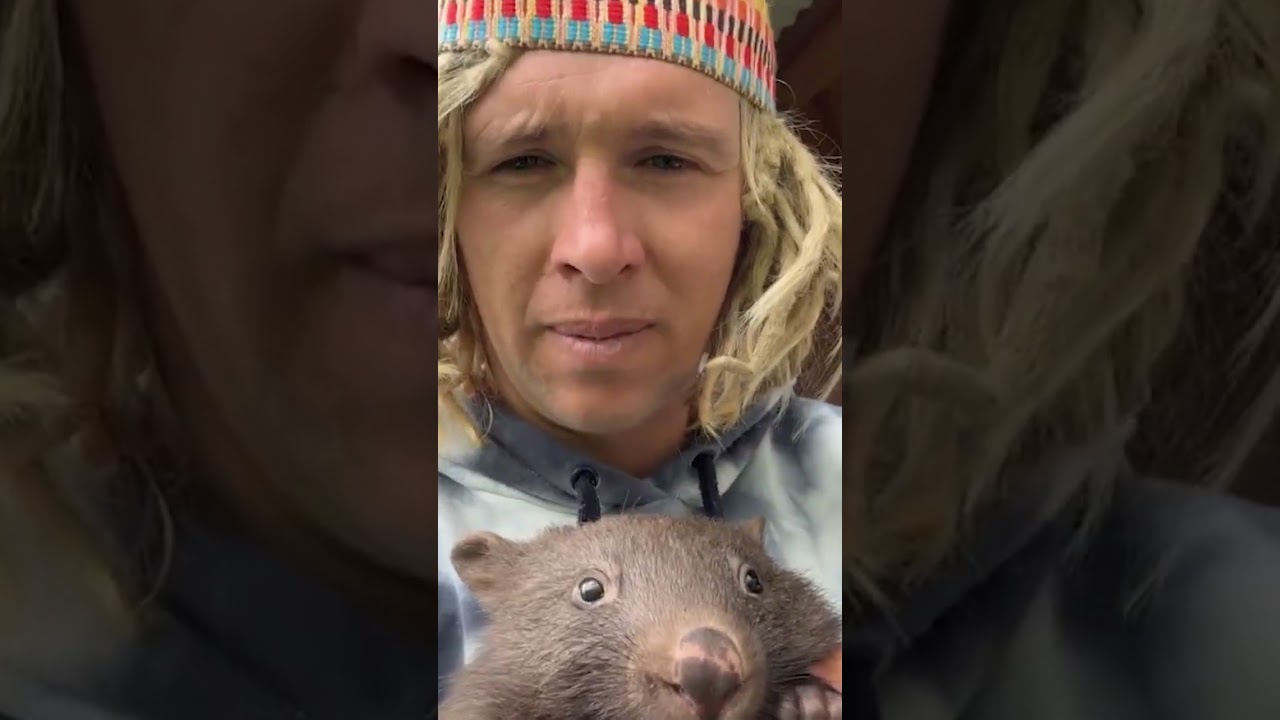 A New Wombat comes to the farm - needs HELP