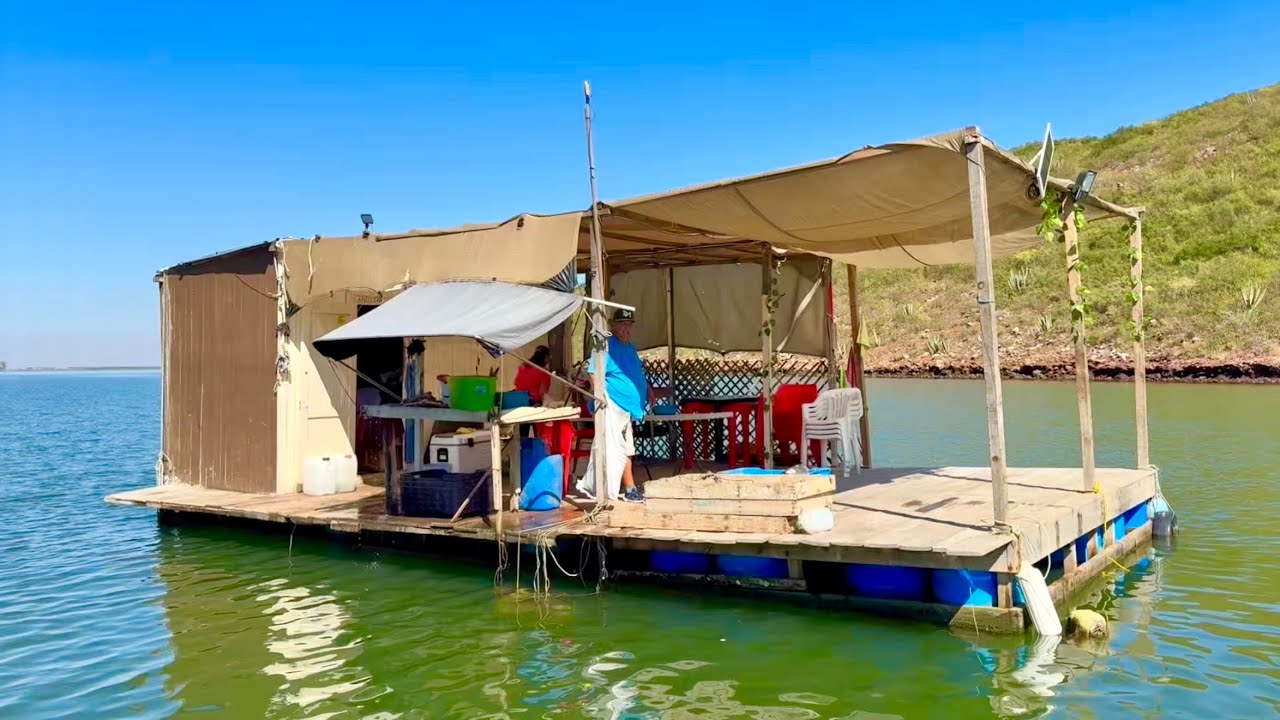 En una casa flotante en medio del mar, hay ostiones, ceviche y pescado zarandeado