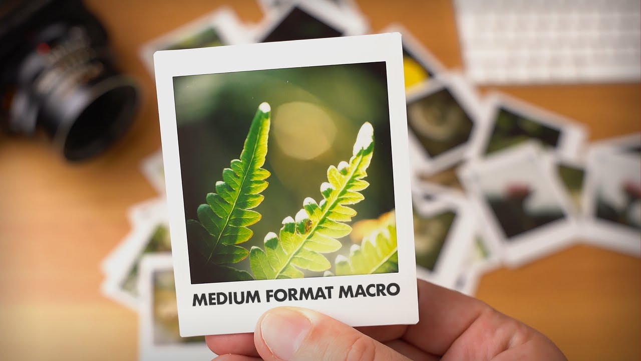 Medium Format Macro Photography (Mamiya RB67, Instax Square, Raynox DCR-250)