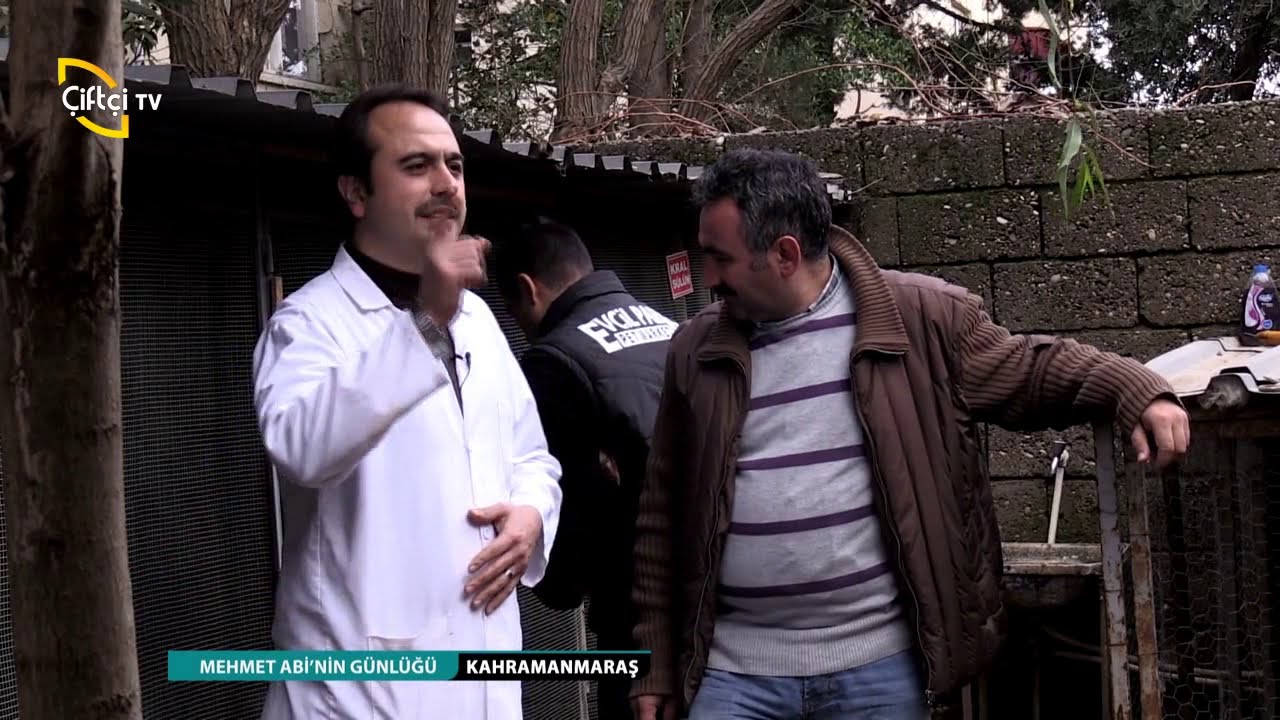MEHMET ABİ'NİN GÜNLÜĞÜ - SÜS TAVUĞU ÇİFTLİĞİ KAHRAMANMARAŞ - 49. BÖLÜM