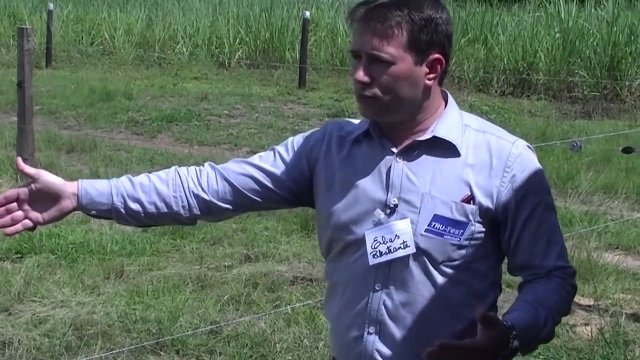 Construção de cerca elétrica EMBRAPA  Elias Pelachim gerente regional Tru Test