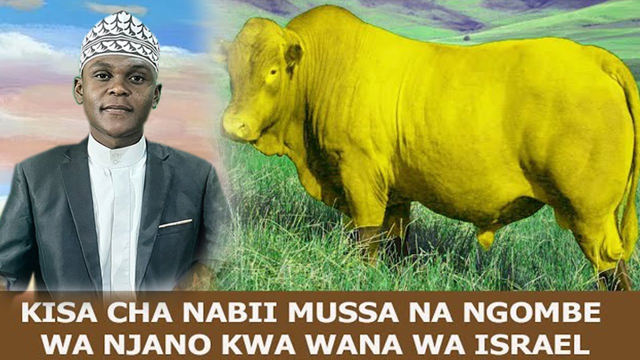 KISA CHA NABII MUSSA NA NGOMBE WA NJANO KWA WANA ISRAIL | USTZ MUSWADIQ