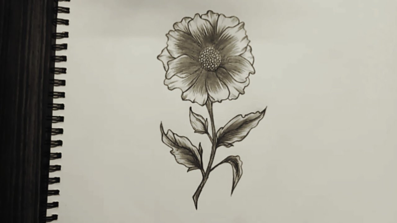How to draw a beautiful flower step by step drawing with Pencil / #PencilwithMe / #artvedio /#artist