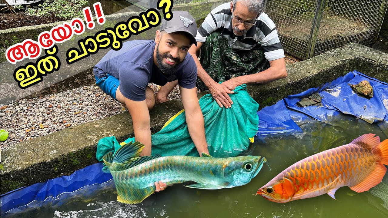 19,000/- രൂപയുടെ.. 