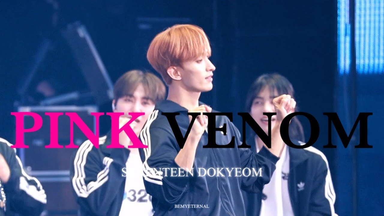 [4K] 230311 세븐틴 캐럿랜드 안 어울리는 노래 [ 도겸 - PINK VENOM ] / SEVENTEEN CARAT LAND [ DOKYEOM - PINK VENOM ]
