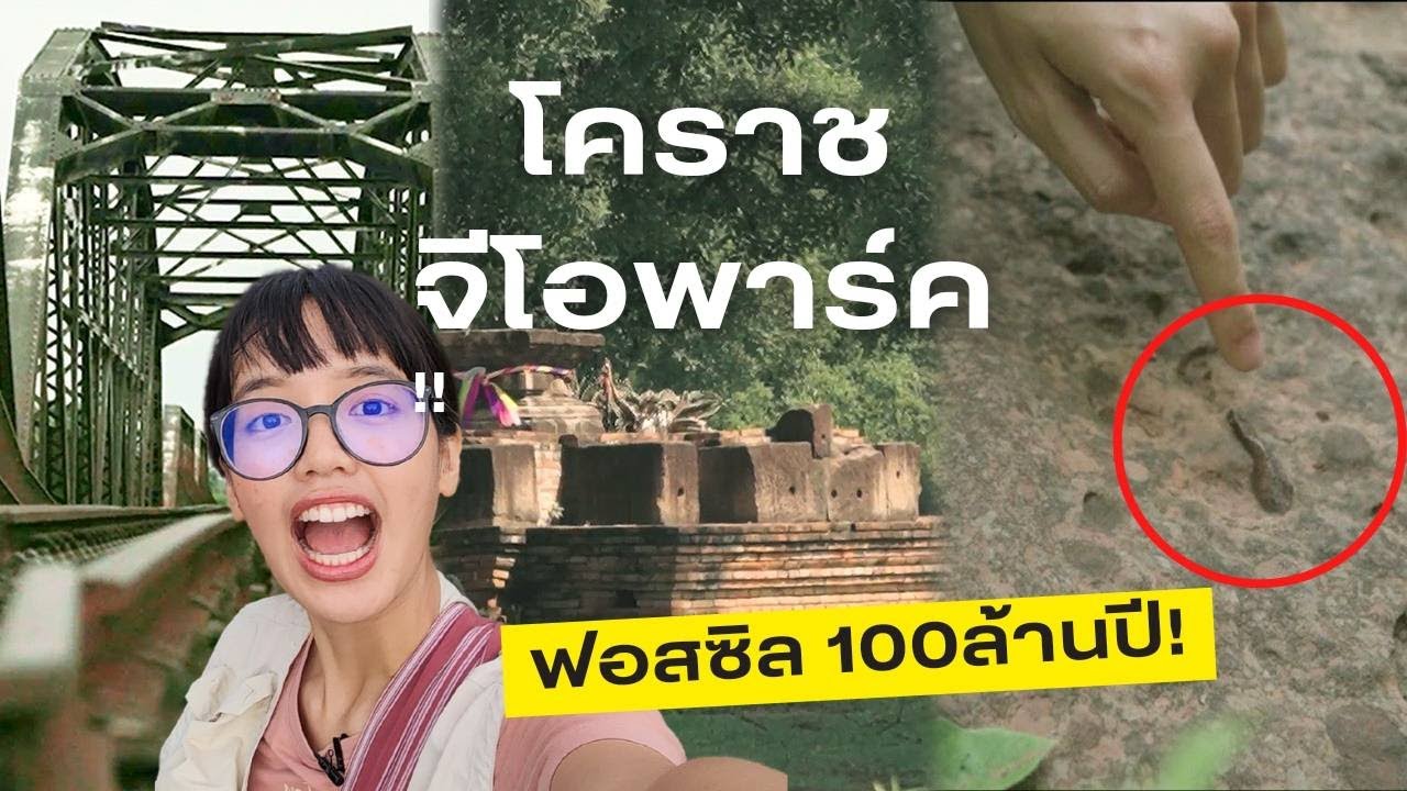 ย้อนรอย 1,000,000 ปี ตามหาซากดึกดําบรรพ์ | โคราชจีโอพาร์ค
