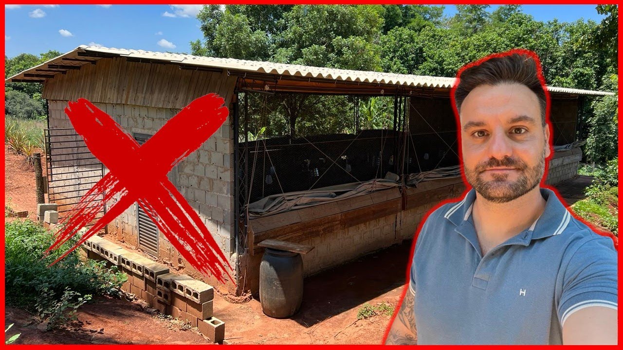 Não construa seu galpão antes de ver esse vídeo: 3 erros que comprometem seu resultado