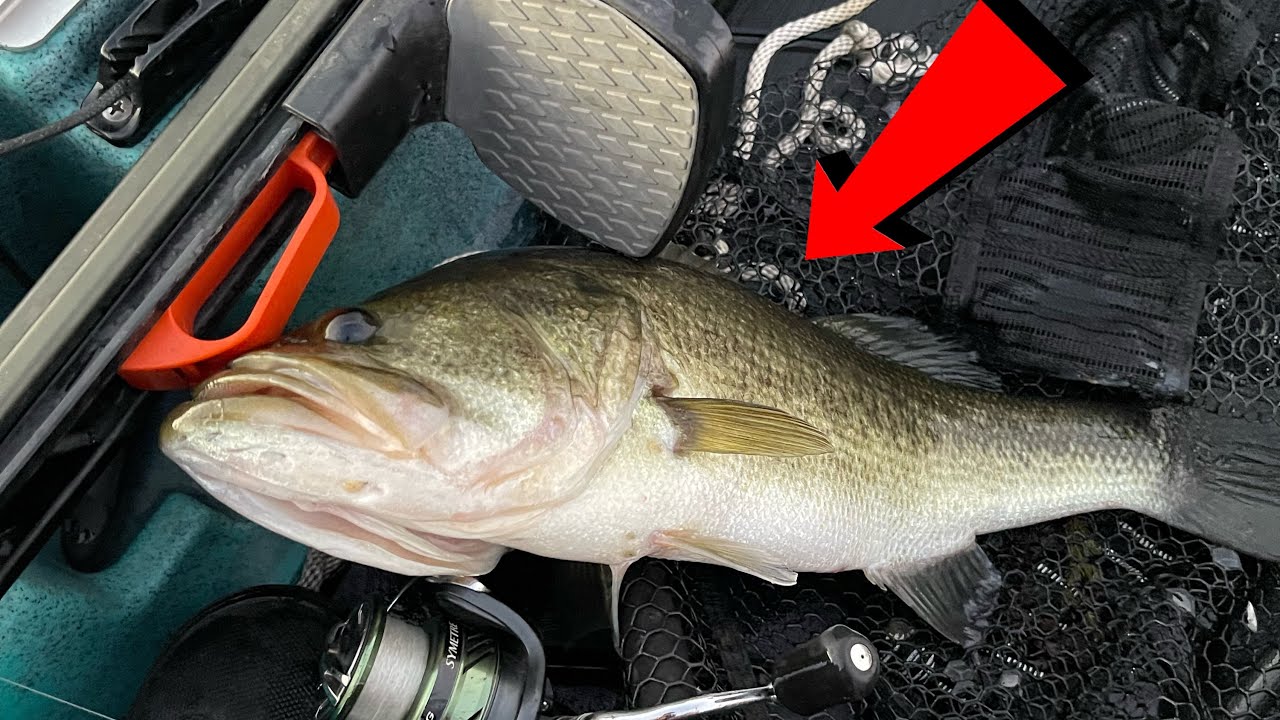 Bass were going insane on the wacky rig!