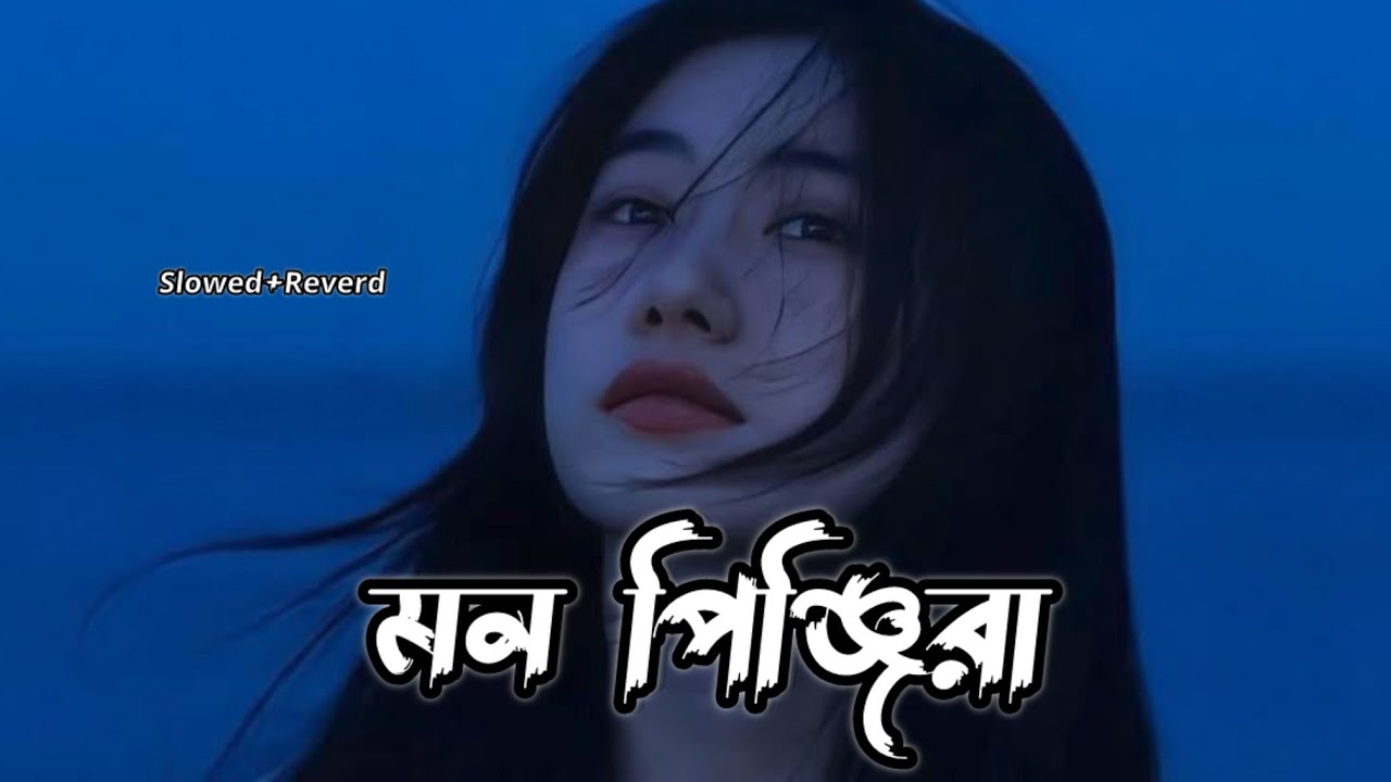 Mon Pinjira (মন পিঞ্জিরা) ।। Bengali lofi #_lofi_music #lofi_and_reverb.।