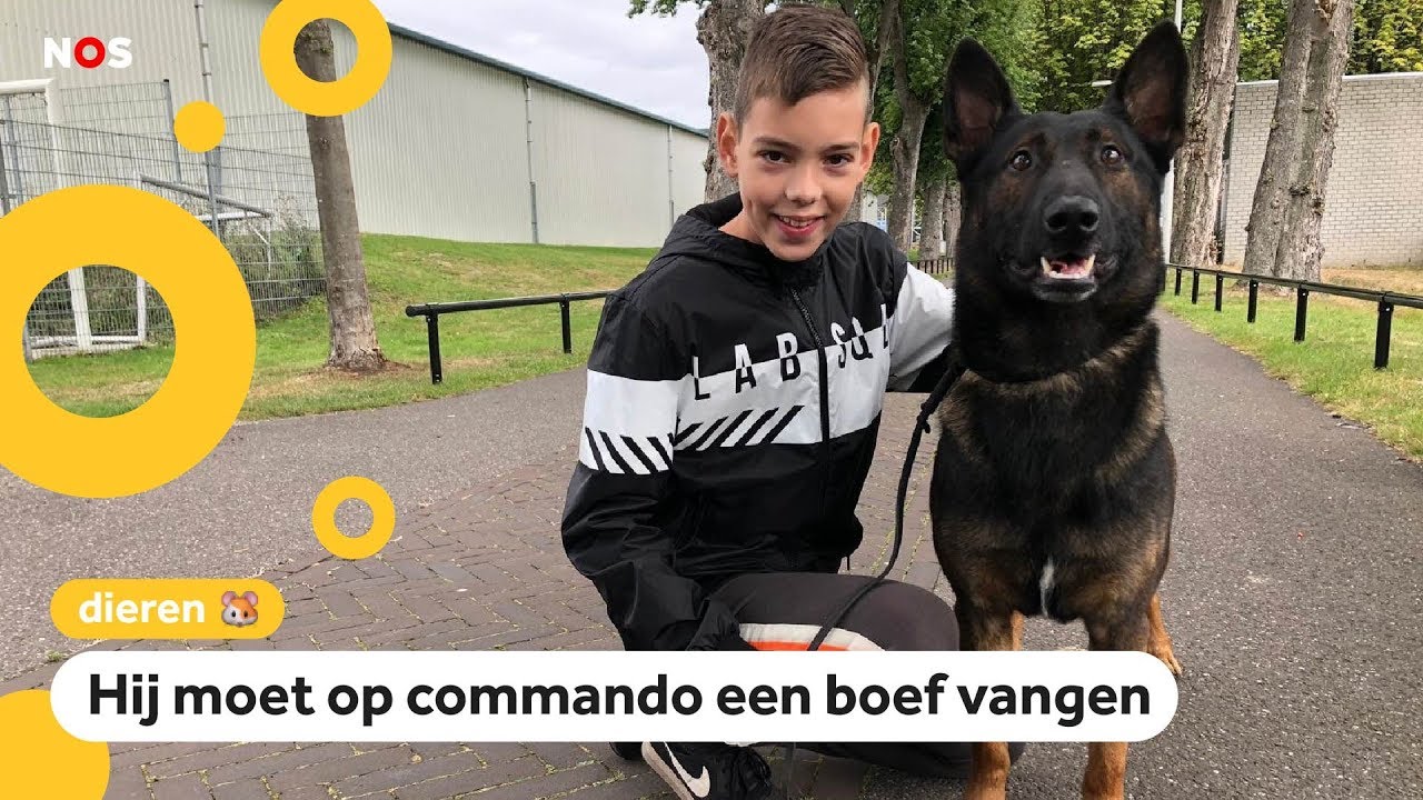 Is hond Nero de beste politiehond van Nederland?