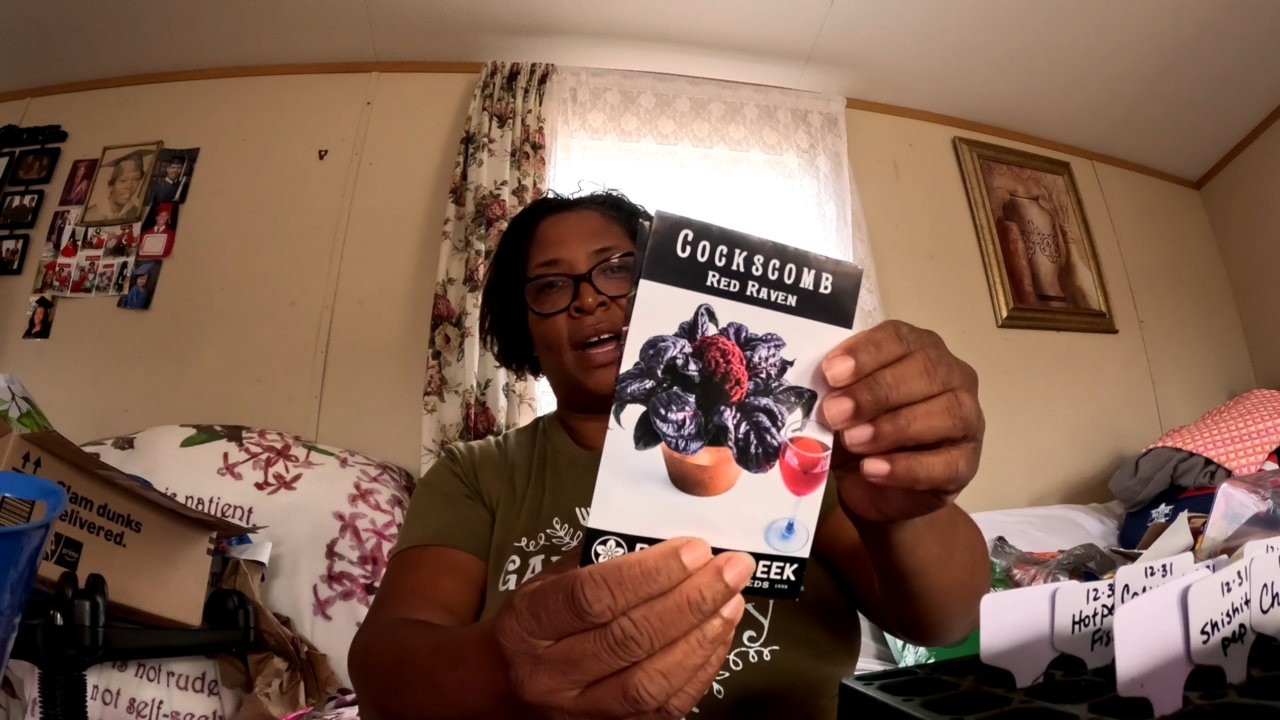 I GOT MAIL & DEALS TO SHOW