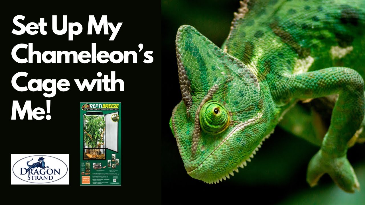 Assembling Reptibreeze and Dragon Strand Ledges for the Ultimate Chameleon Enclosure!