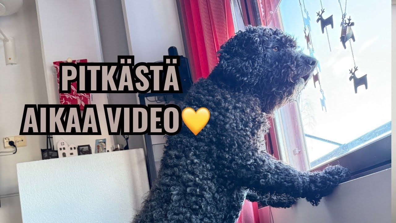 Pitkästä aikaa video | Pyhän loma 🌞