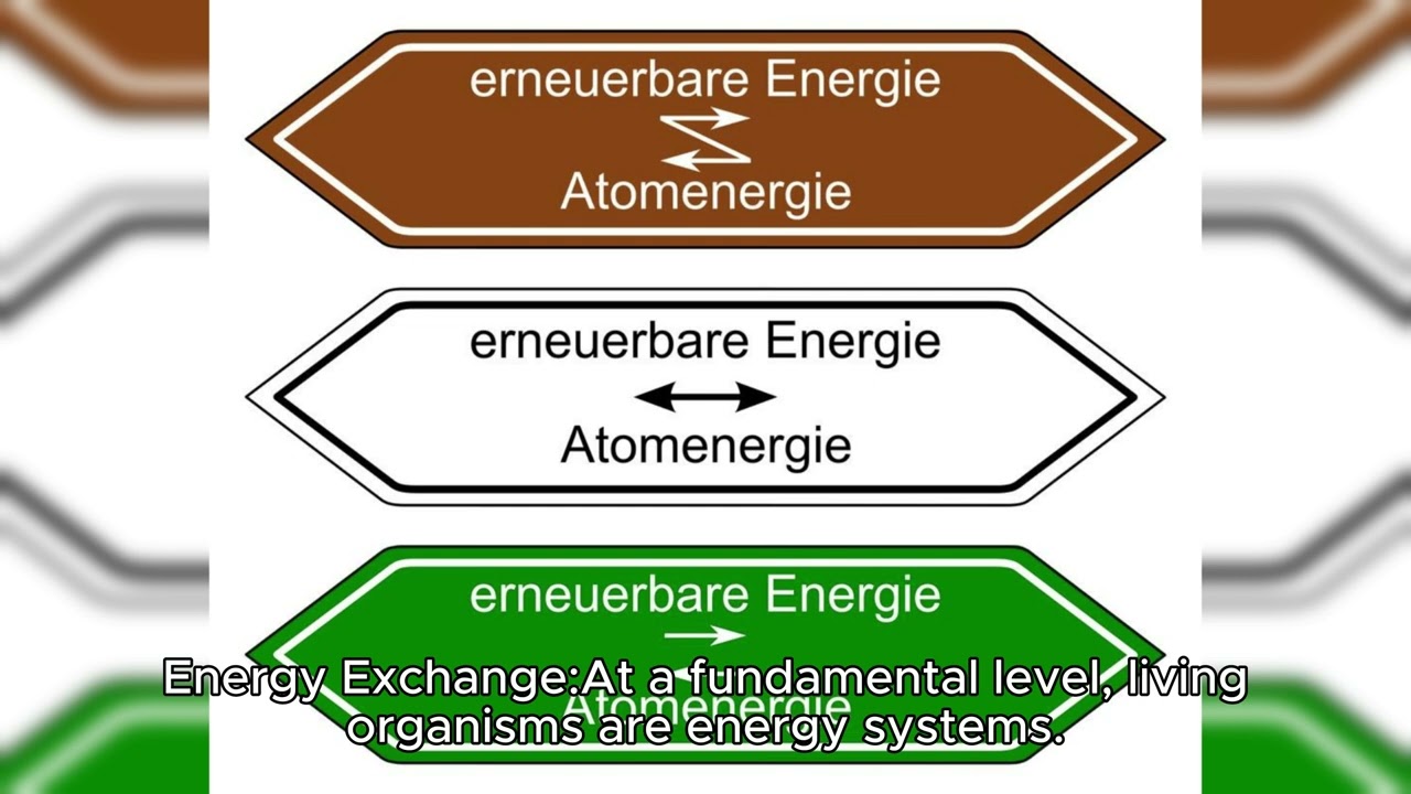 Universal Body