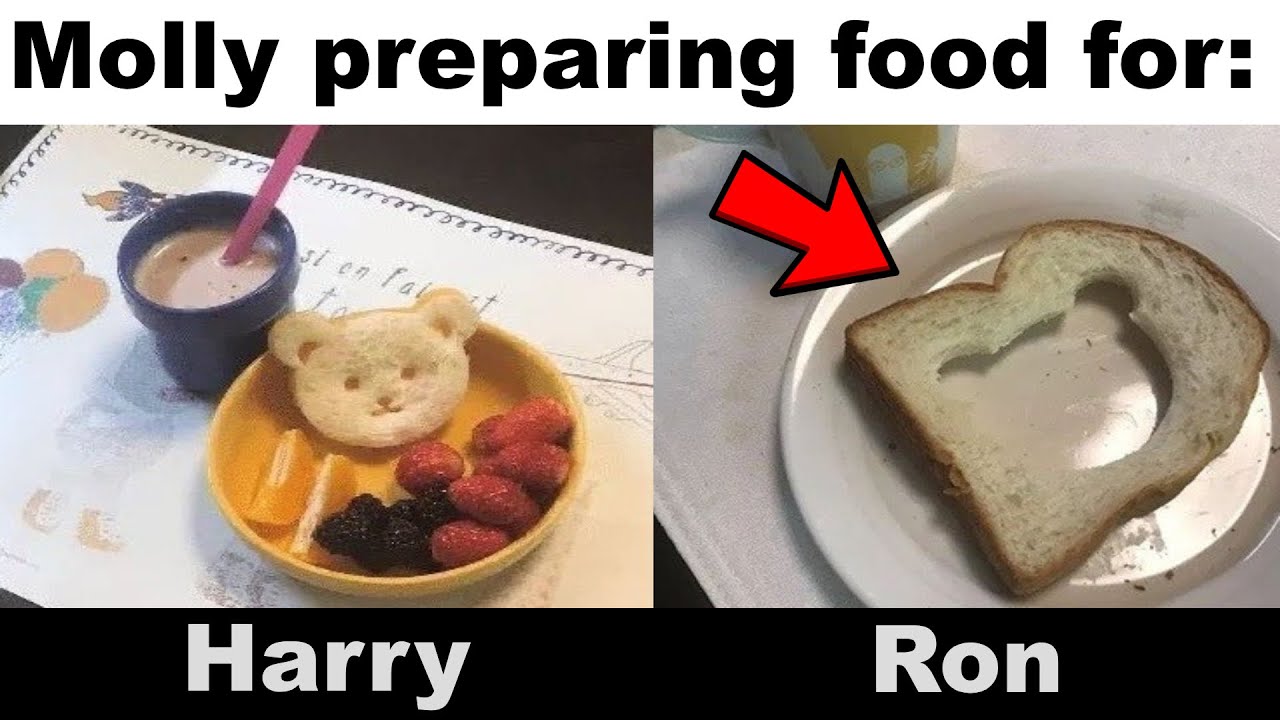 HARRY POTTER MEMES #18