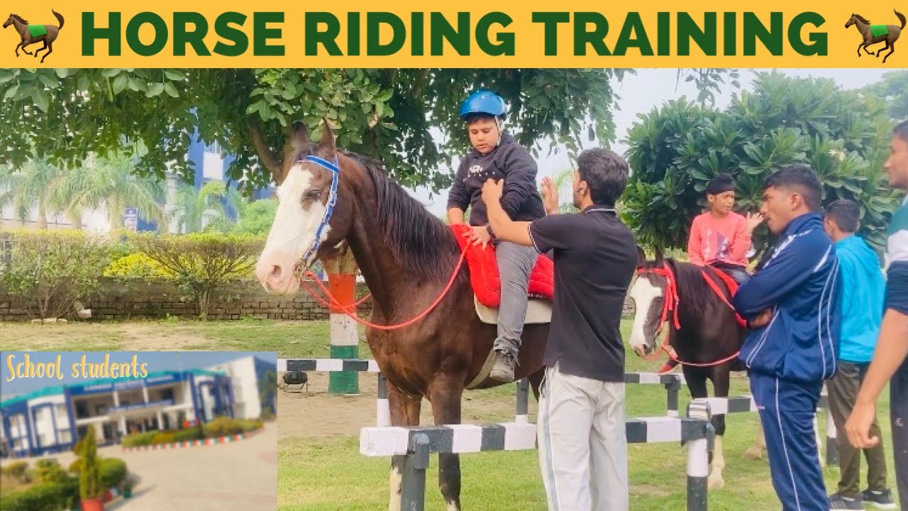 ਘੋੜ ਸਵਾਰੀ ਦੀ ਸਿਖਲਾਈ । Horse Riding Training at school | First time experience as a trainer...