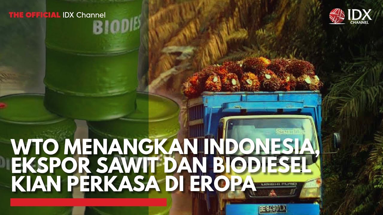 WTO Menangkan Indonesia, Ekspor Sawit dan Biodiesel Kian Perkasa di Eropa | PRIME MARKET