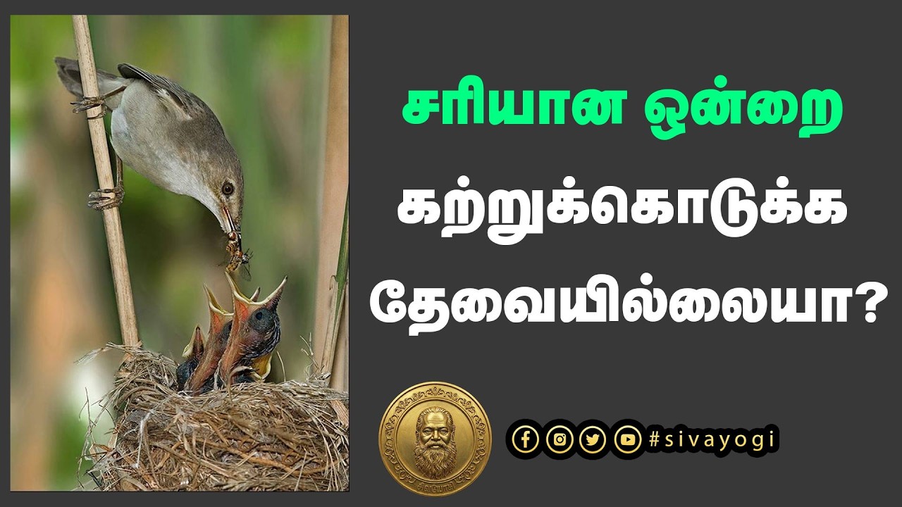 சரியான ஒன்றை கற்றுக்கொடுக்க தேவையில்லையா?