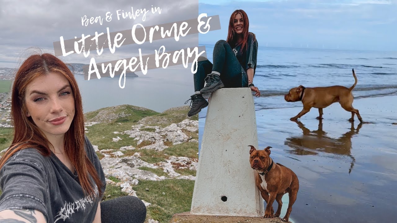 Bea & Finley Adventures!