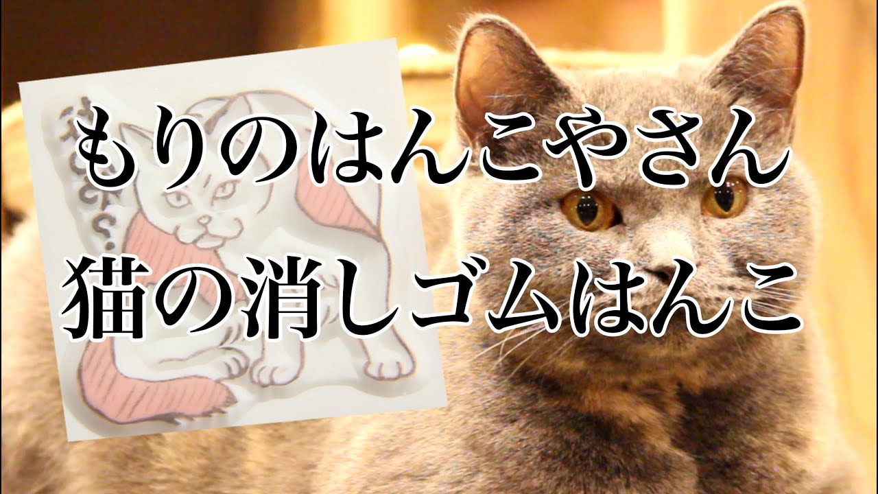 猫の消しゴムはんこを彫る!　(How to make eraser stamp)