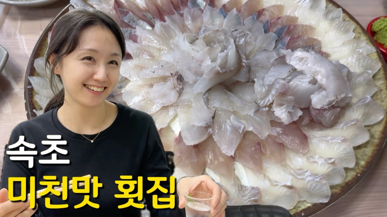 속초 맛집 여행 l 춘길호 횟집 l 진미막국수 l 카페 긷 l 하누정원 l 속초 베스트웨스턴 시그니처 컬렉션 호텔