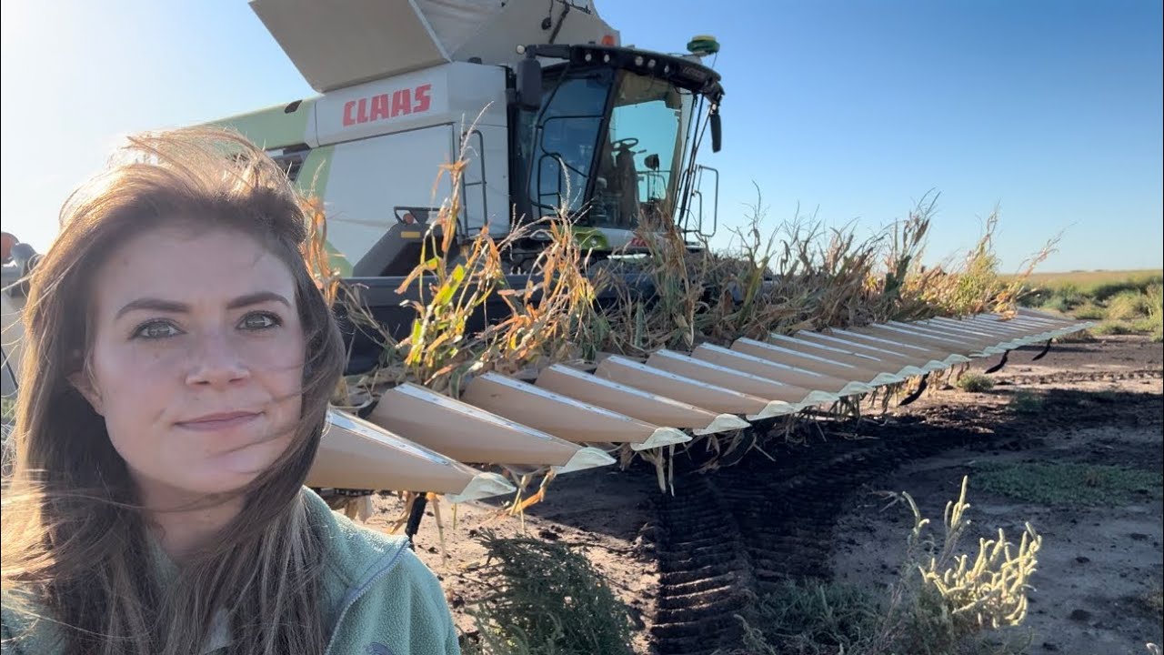 Break Downs and Battery Explosions | Harvest Vlog #4