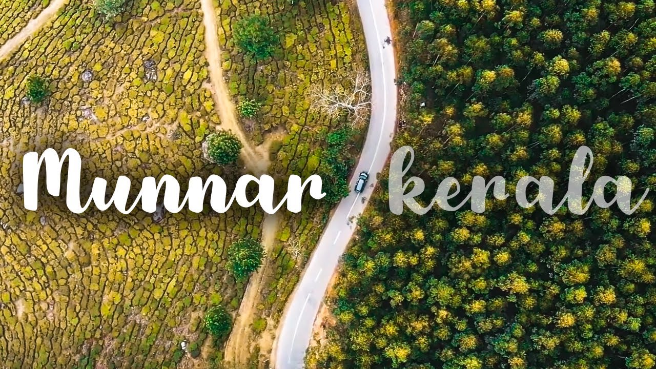 DREAMING IN MUNNAR : KERALA ROAD TRIP