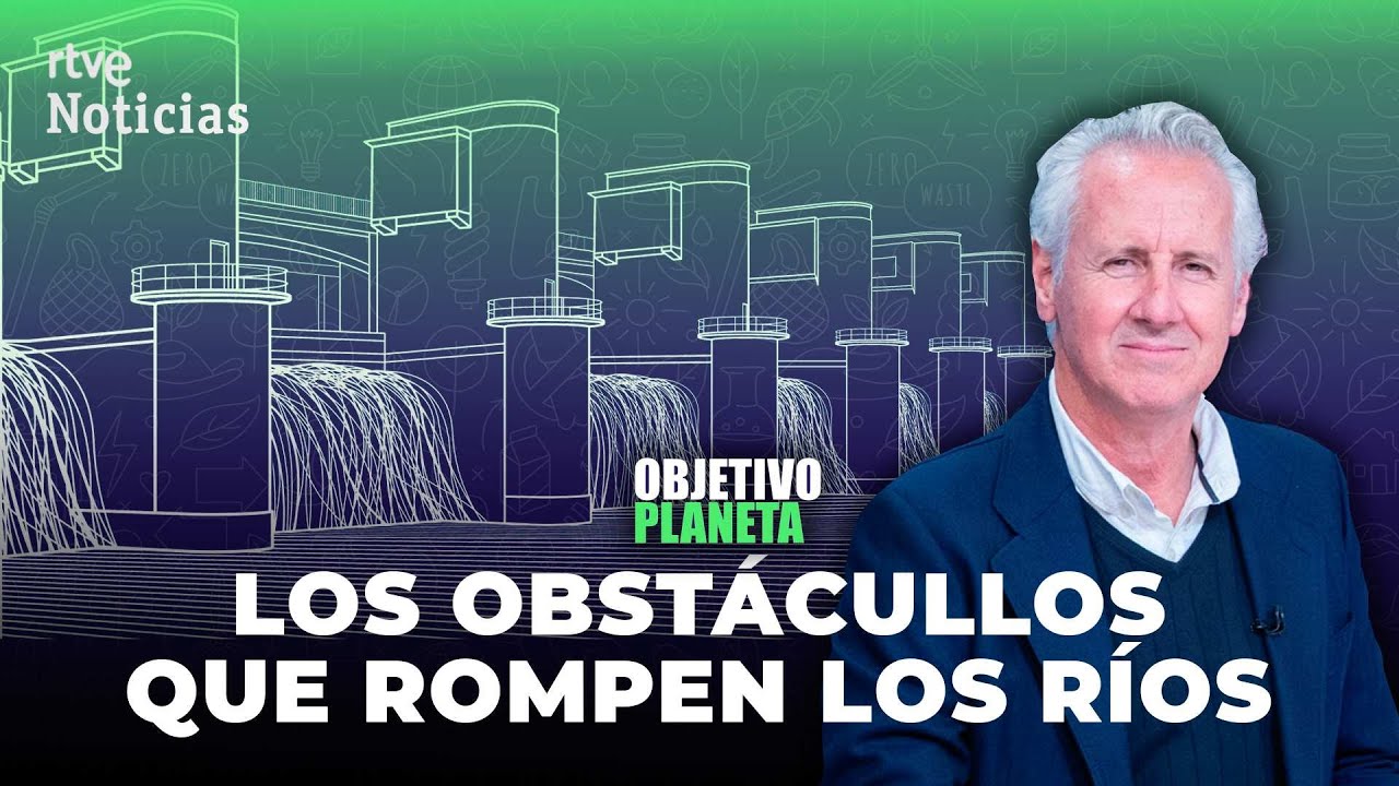 PRESAS: ¿Qué IMPACTO tienen estas BARRERAS en el fluir de los RÍOS? | RTVE Noticias
