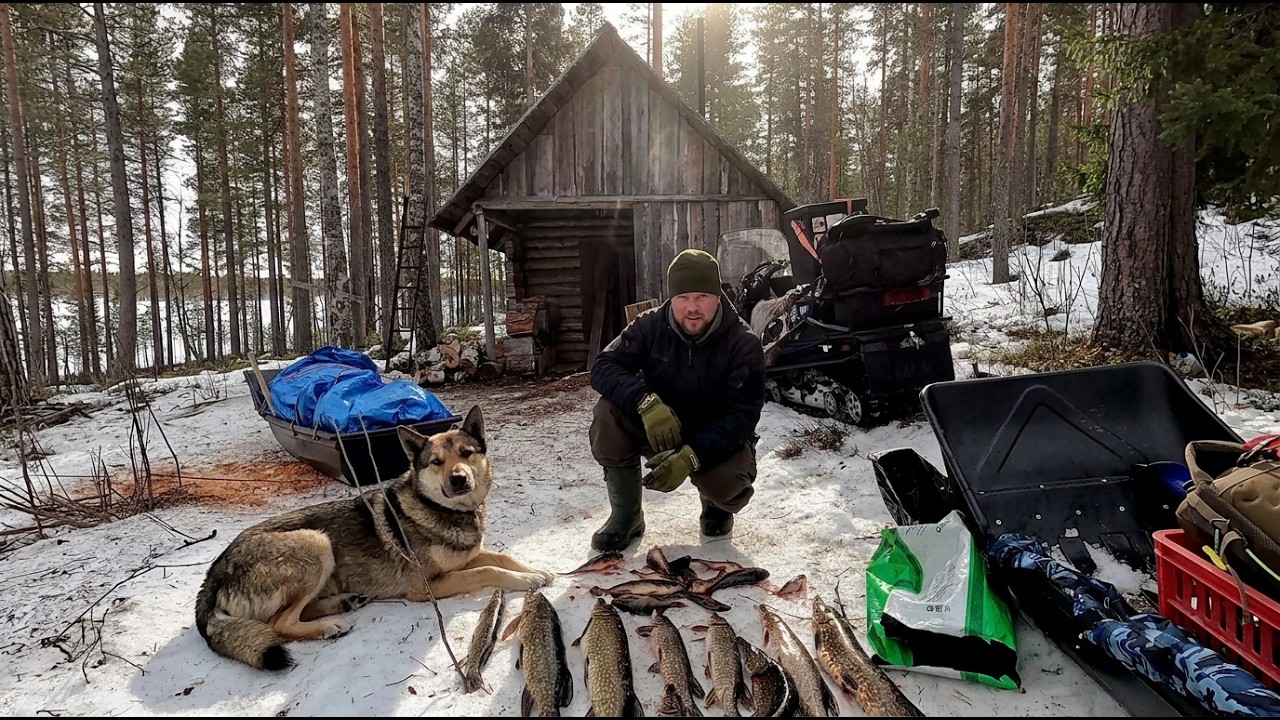 ЛУЧШАЯ РЫБАЛКА 2026. НОЧЁВКА В ИЗБУШКЕ РЫБАКА. ПРОВЕРКА ЖЕРЛИЦ ОЧЕНЬ УДИВИЛА. РЫБАЛКА В КАРЕЛИИ