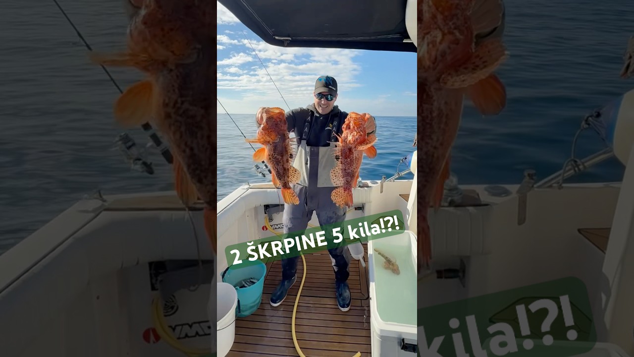 5 kila da ili ne!? 🔥🎣⚡️🔝🛥️#skrpine #jigging #scarpenapoli #fishingguidecroatia #fishingcroatia
