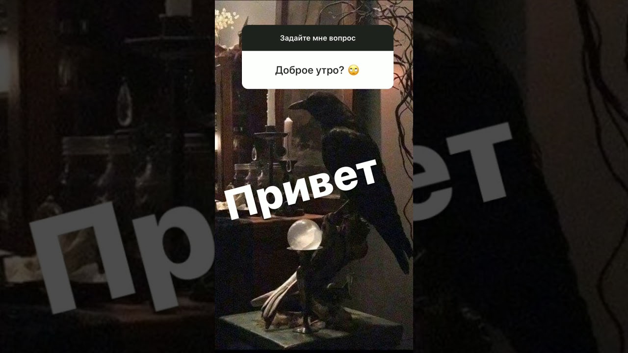 Никита Платонов в сторис 12.93.2020. Вопрос-ответ.