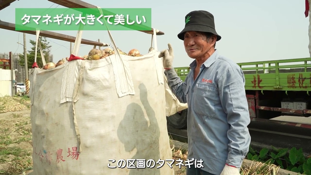 野菜作物応用: タマネギ ダイジェスト版動画