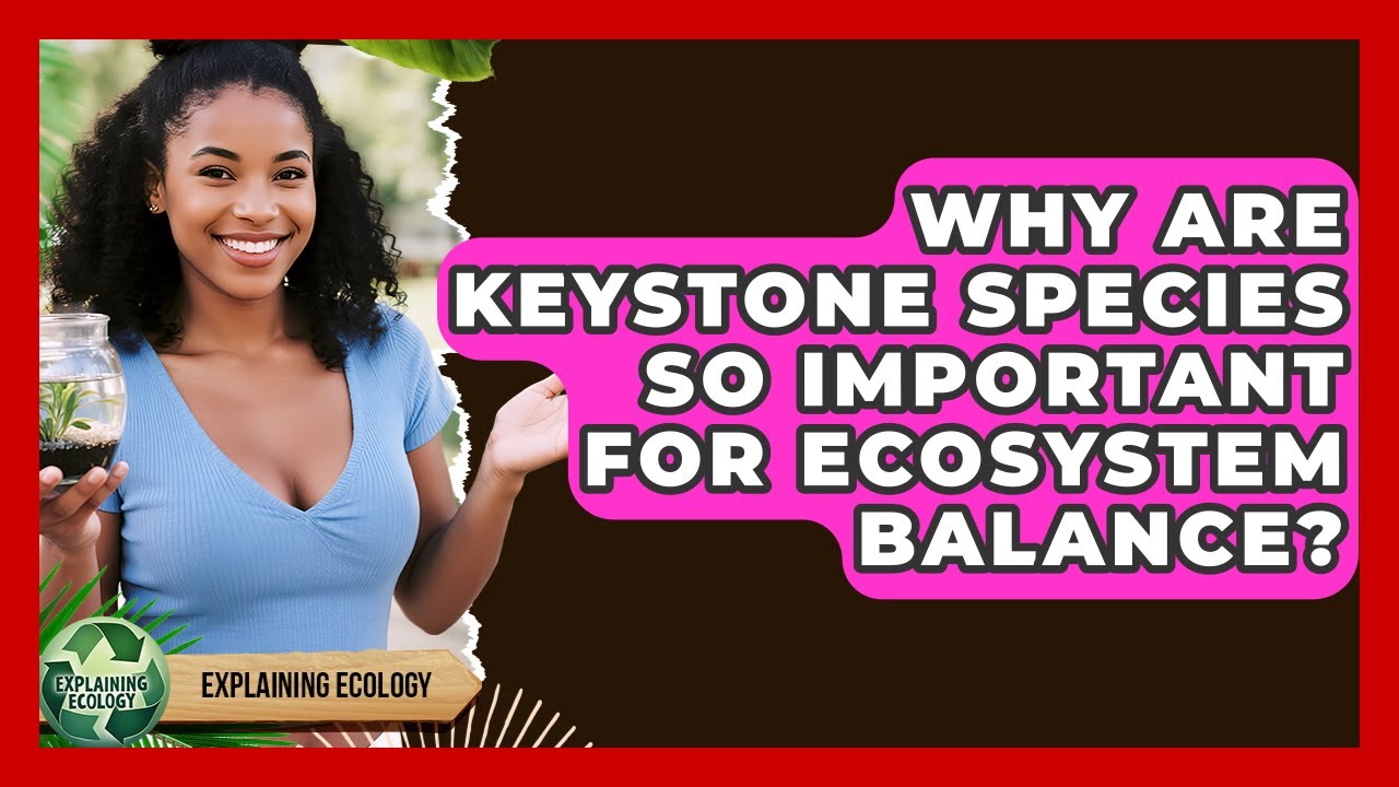 Why Are Keystone Species So Important For Ecosystem Balance? - Explaining Ecology